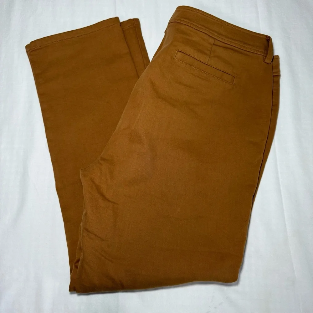 Eileen Fisher Organic Cotton Cozy Stretch Dark Clay Slim Pants Size 12P Casual - Picture 9 of 9